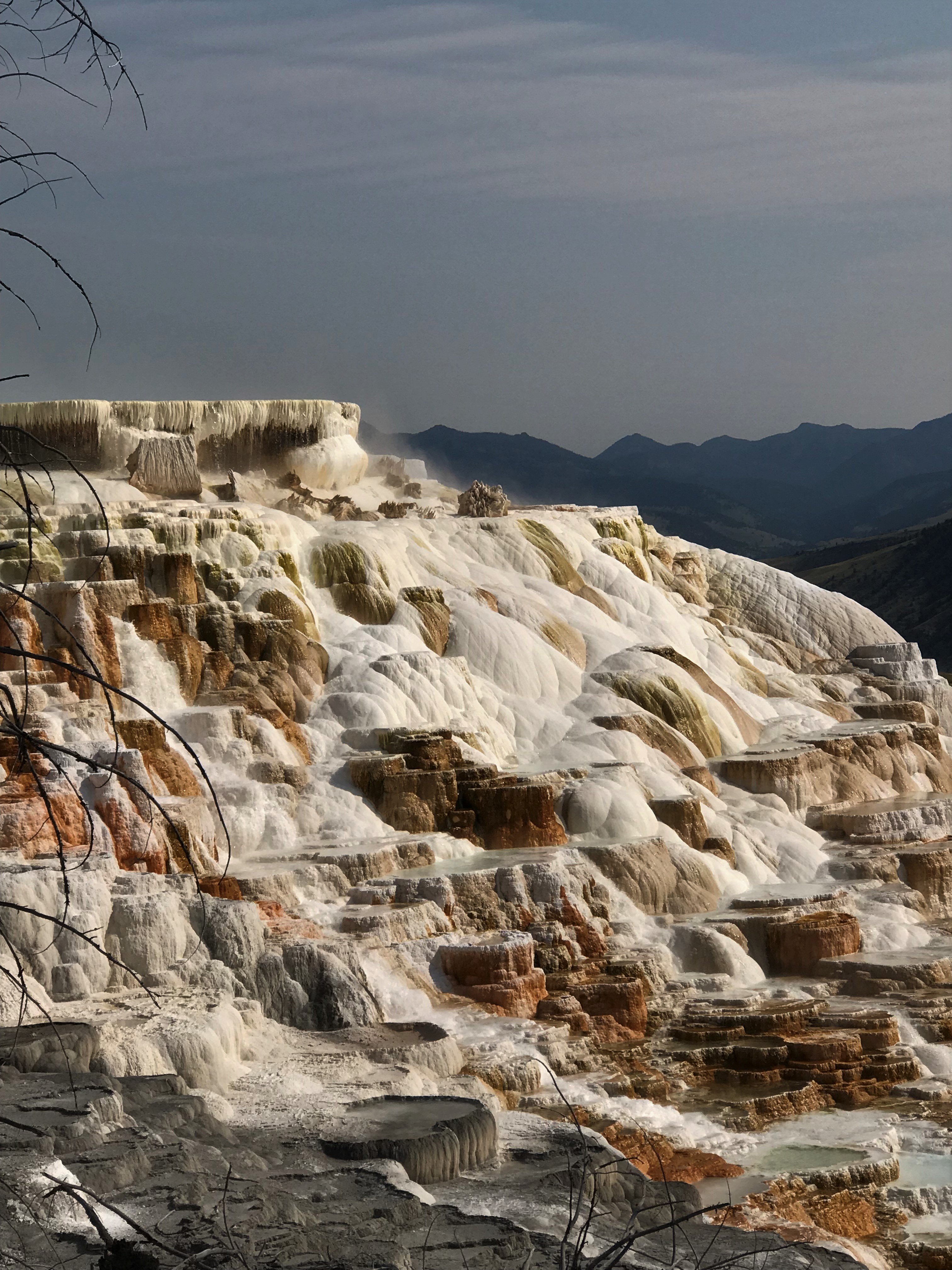 Mammoth Hot Springs