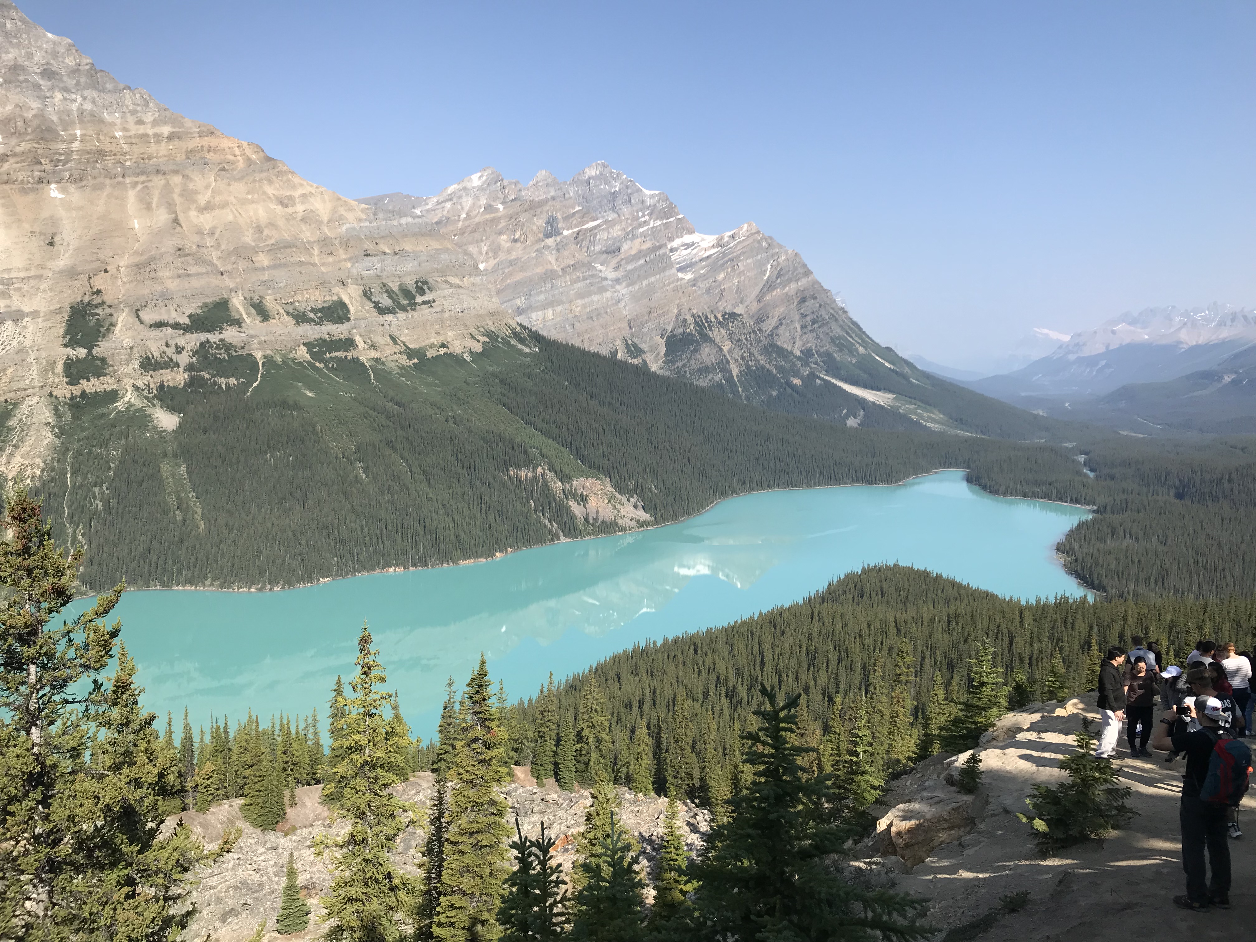 Peyto lake