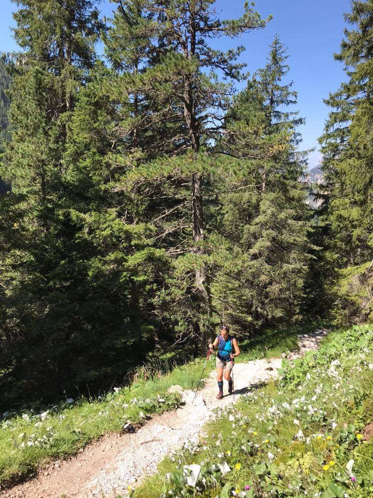 Rifugio Bergamo sentiero 